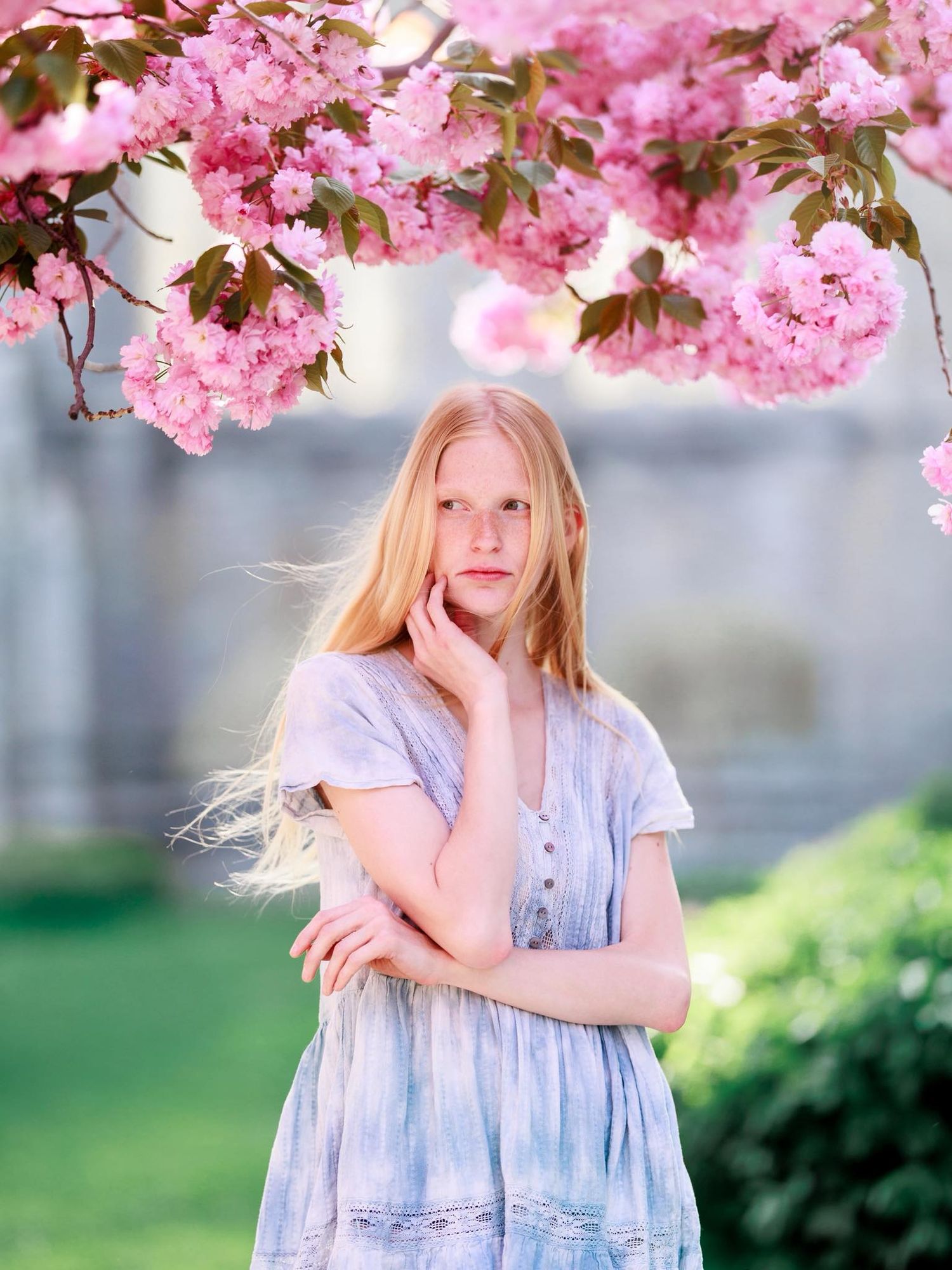 Cherry Blossoms portrait session in Toronto.
