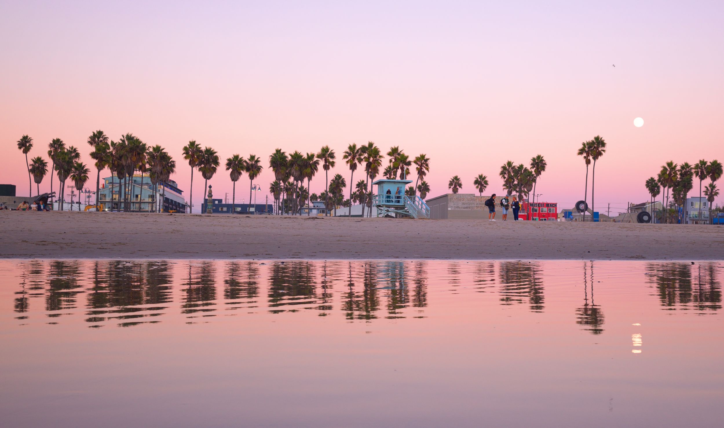 fine art landscape photograph of full moon rising over Venice beach with a pink sky over the beach reflecting palm trees wall art