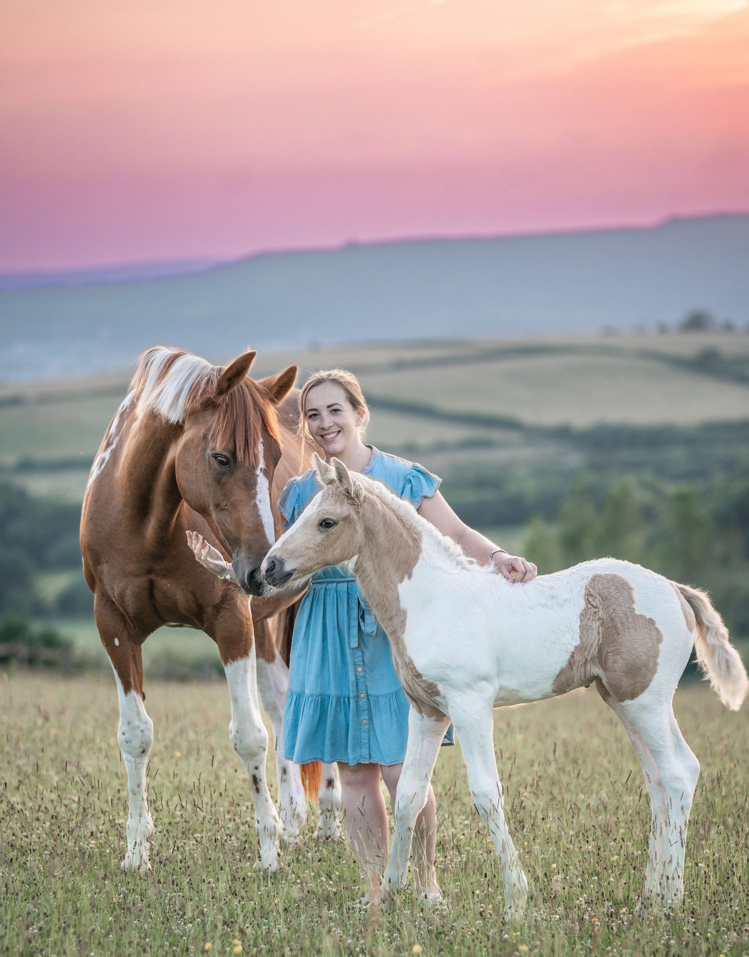 A brown horse and white foal stand in a grassy field at sunset with mountains in the background.