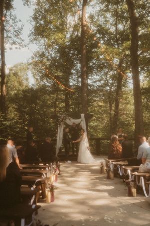 A sunlit outdoor wedding ceremony setup in a wooded area with scattered flower petals along the aisle.