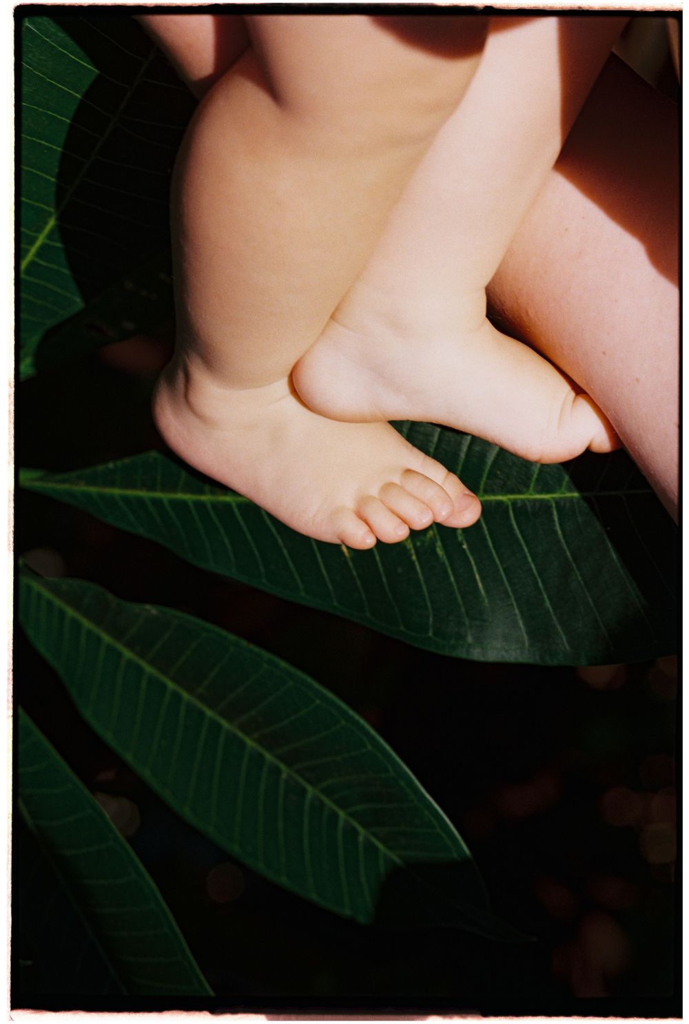 Close-up of a baby's bare feet resting on large green tropical leaves.