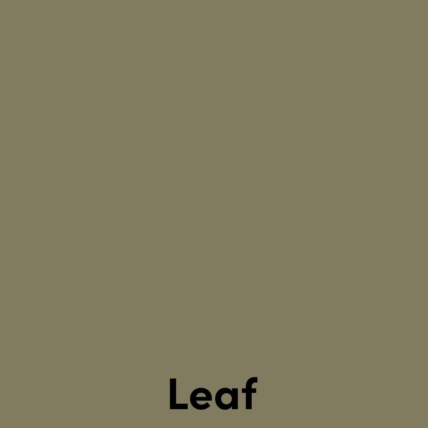 A solid leaf green colored background with the text 'Leaf' displayed at the bottom.
