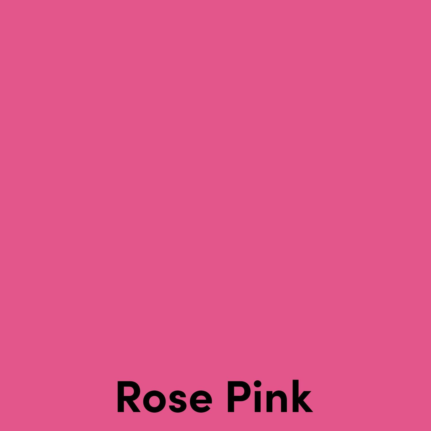 A solid rose pink square with the text 'Rose Pink' at the bottom.