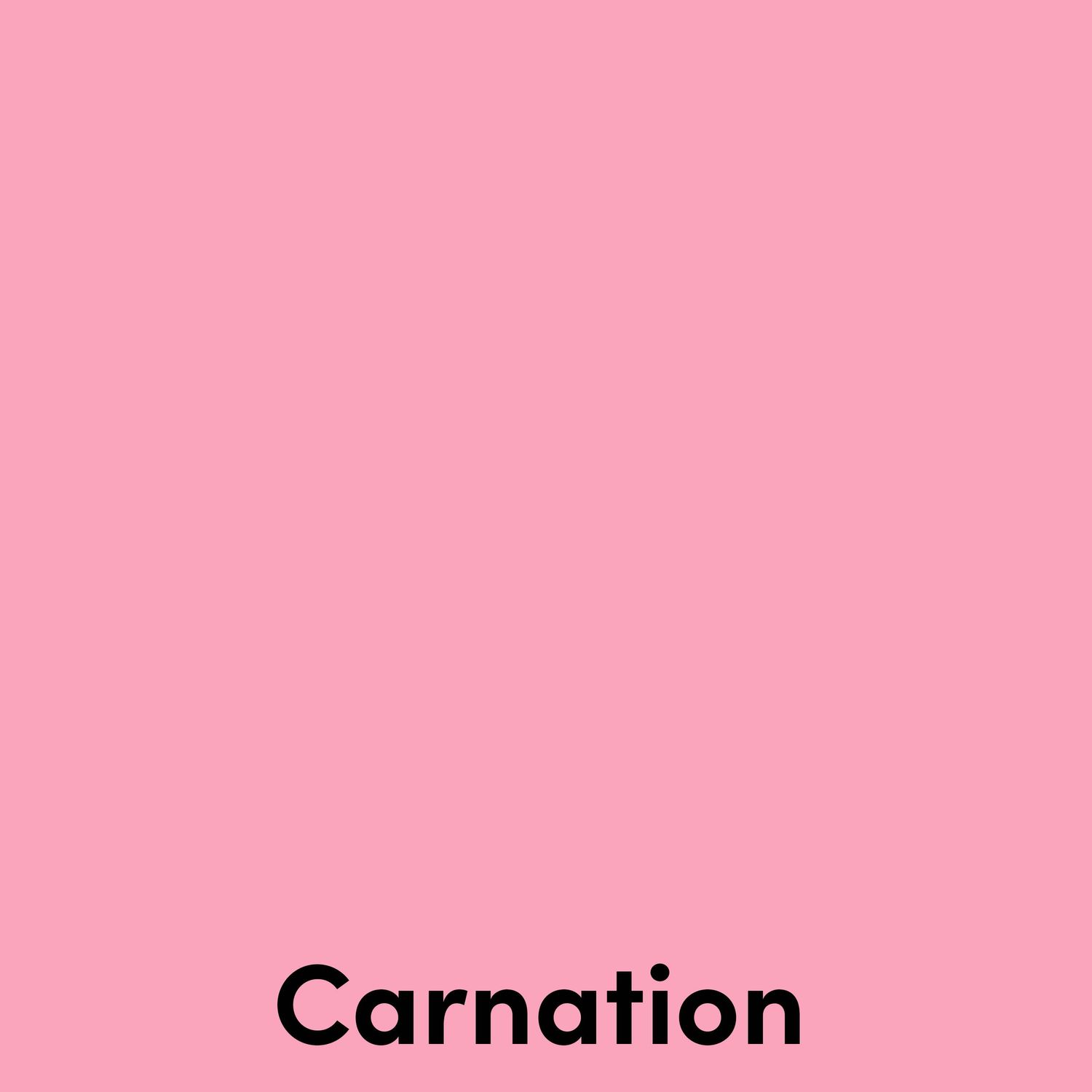 A solid carnation pink square with the text 'Carnation' at the bottom.