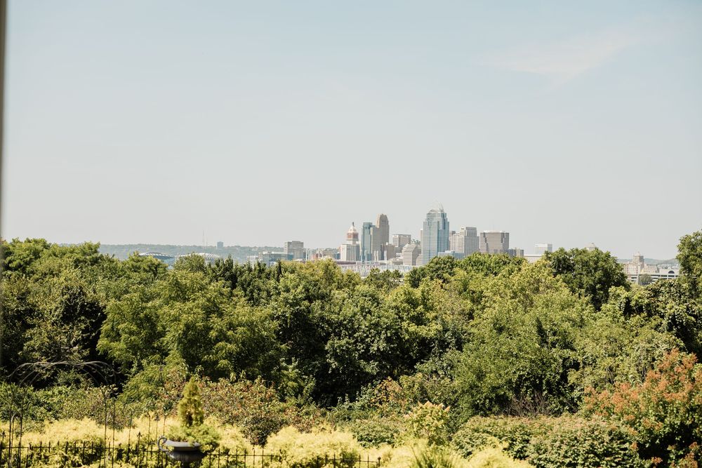 Kansas City skyline viewed through trees on a sunny day with green foliage in the foreground.