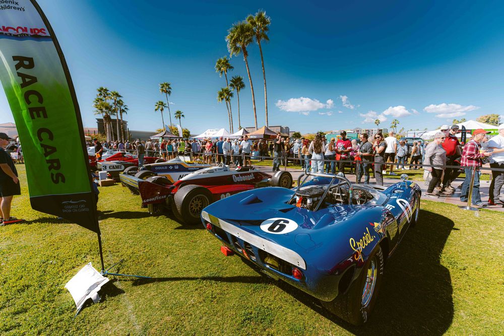 Classic sports cars and vintage automobiles displayed on a sunny lawn at an outdoor car show event.
