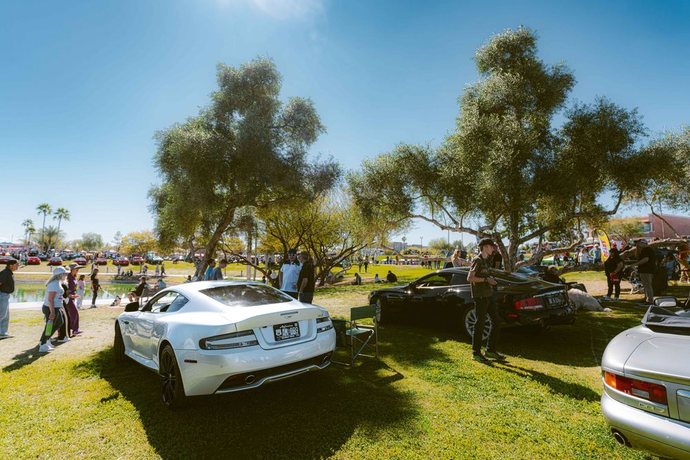 Car enthusiasts gather at an outdoor show under shady trees on a sunny day with vintage and modern vehicles on display.