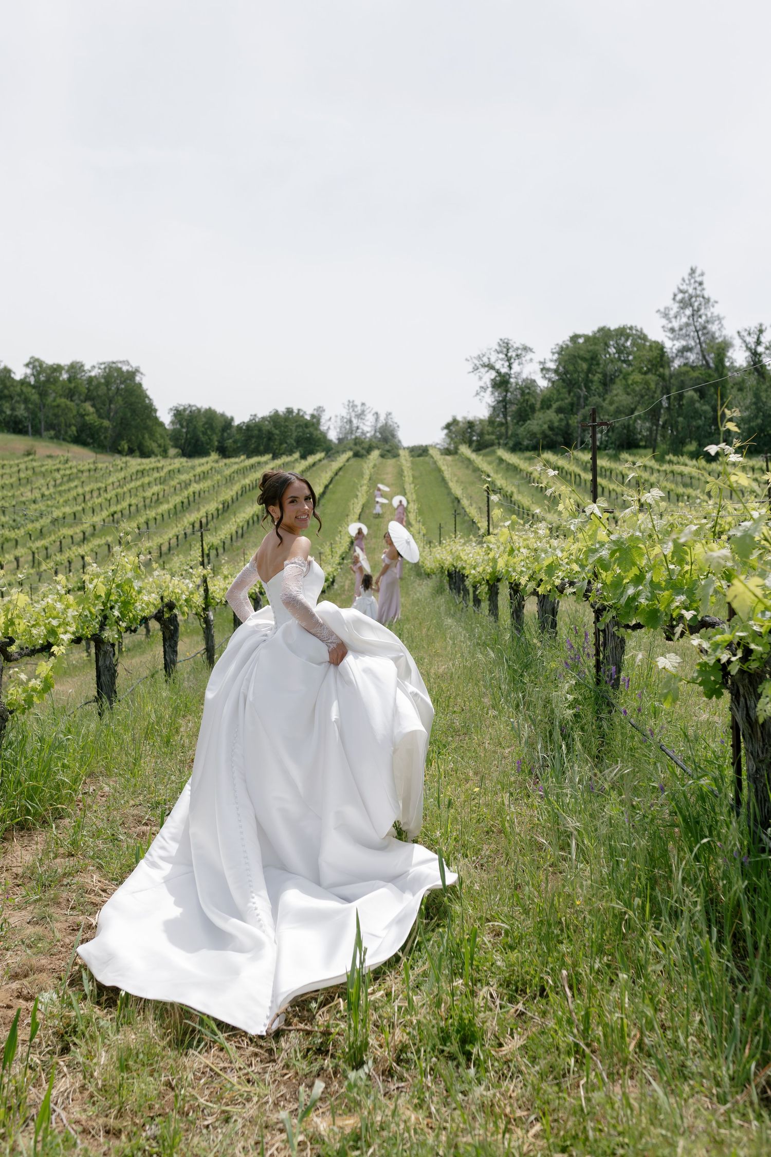 Two figures in flowing white dresses walk through rows of grapevines in a scenic vineyard setting.