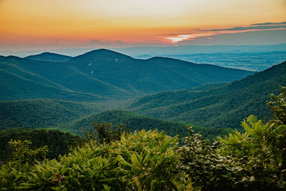 Sunset over the Shenandoah Mountains casts golden light across rolling peaks and lush green foliage in the foreground of Virginia.