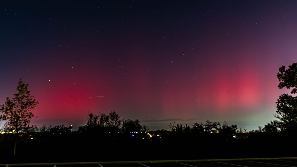 Stunning panoramic view of the Northern Lights aurora borealis dancing across a dark night sky above silhouetted trees in FW TX