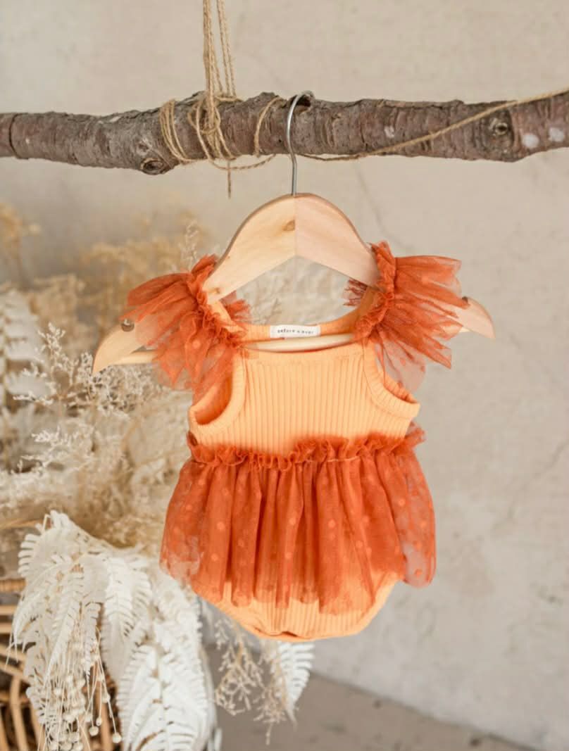 newborn portrait session, professional photography Wichita