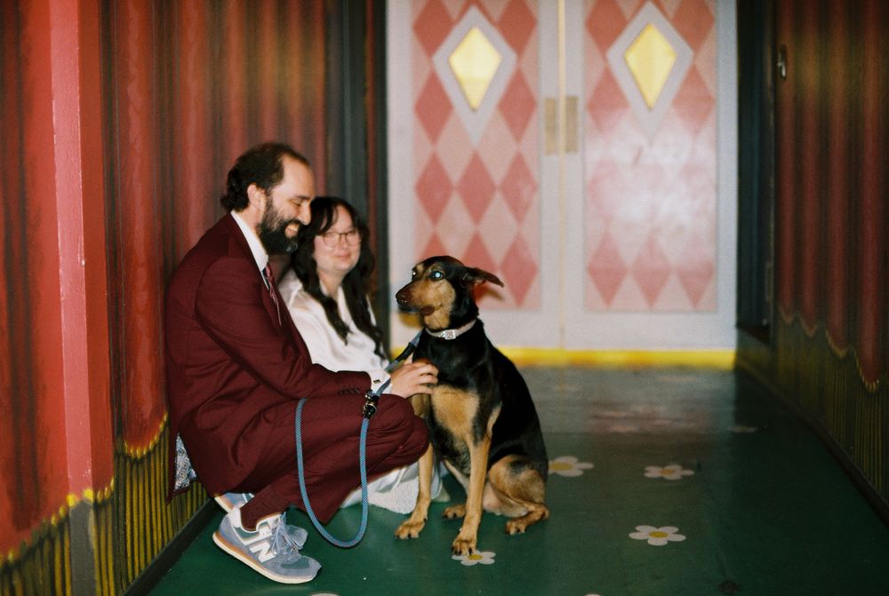 Bride and groom and their dog watch their wedding ceremony from the audience.