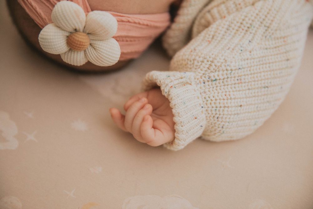 Delicate white seashells arranged in a row against a soft peach-colored background creating a minimalist composition.