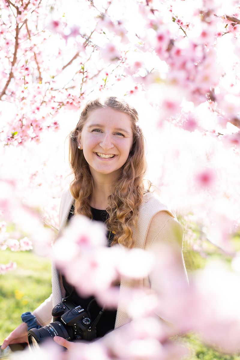 Portrait photographer with camera surrounded by delicate pink cherry blossoms in spring.