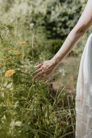 Tangeld Garden, Grand Pre, Nova Scotia, Engagement Session, Halifax Photographer, Wolfville Photographer, Elopement Photographer, Canada
