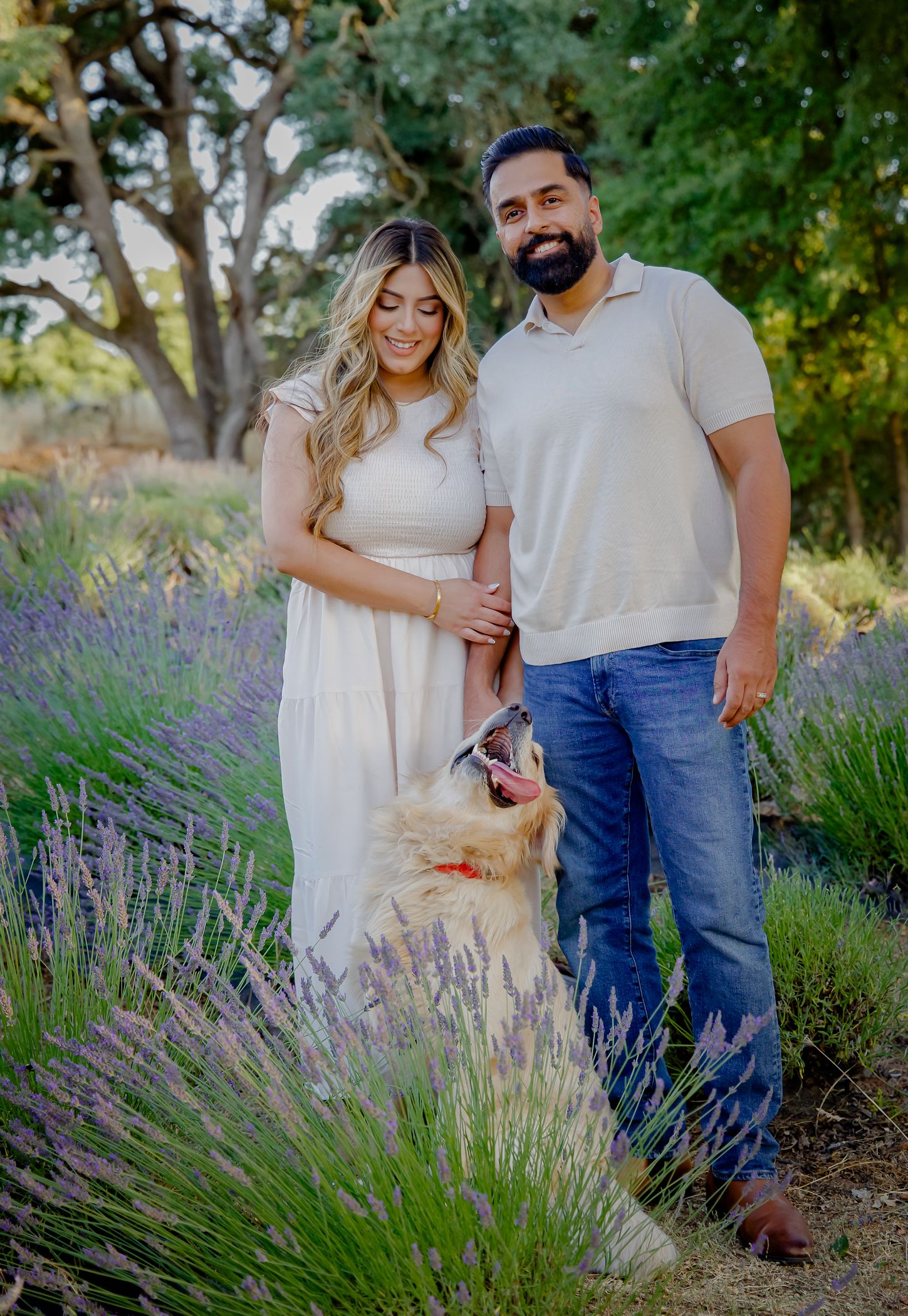 Celebrate the special family moments with a beautiful photoshoot in lavender fields  Sacramento CA