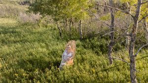 drone shot of pregnant woman sitting in peacock chair