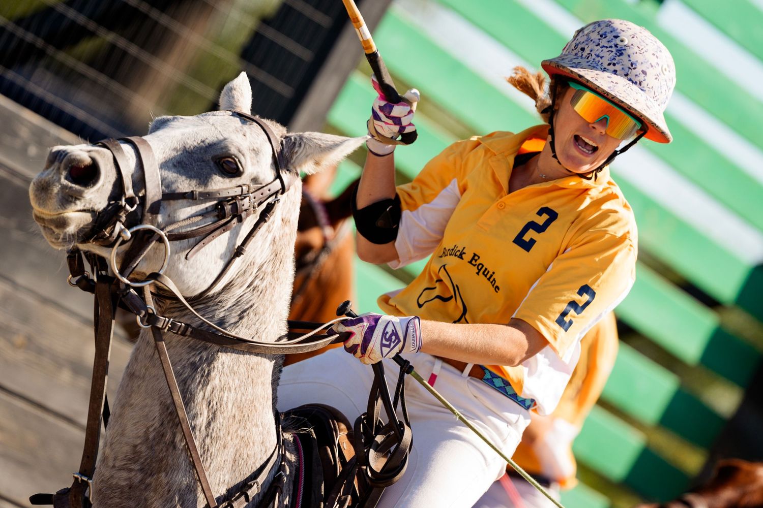 polo equestrian sport polo pony