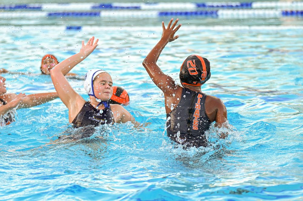 Water polo players reach for ball during intense game action in swimming pool.