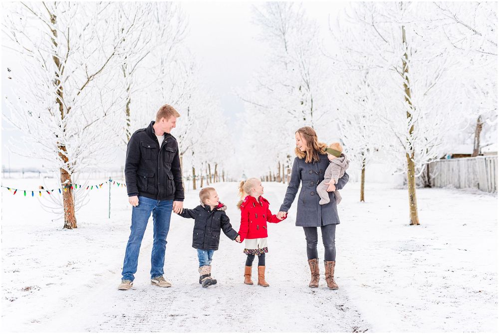 Family of four walking hand in hand on snowy path between white winter trees.