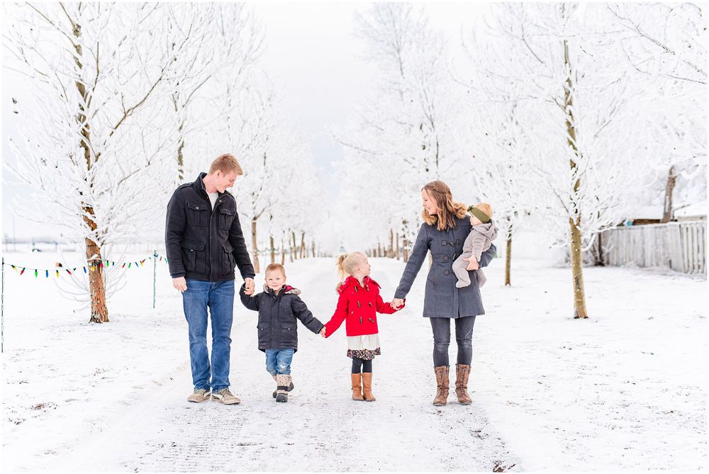 Family takes a winter stroll together on a snowy path lined with birch trees.