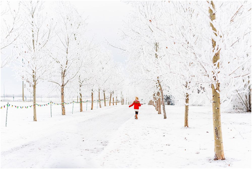 Figure in red coat walking through avenue of snow-covered trees.