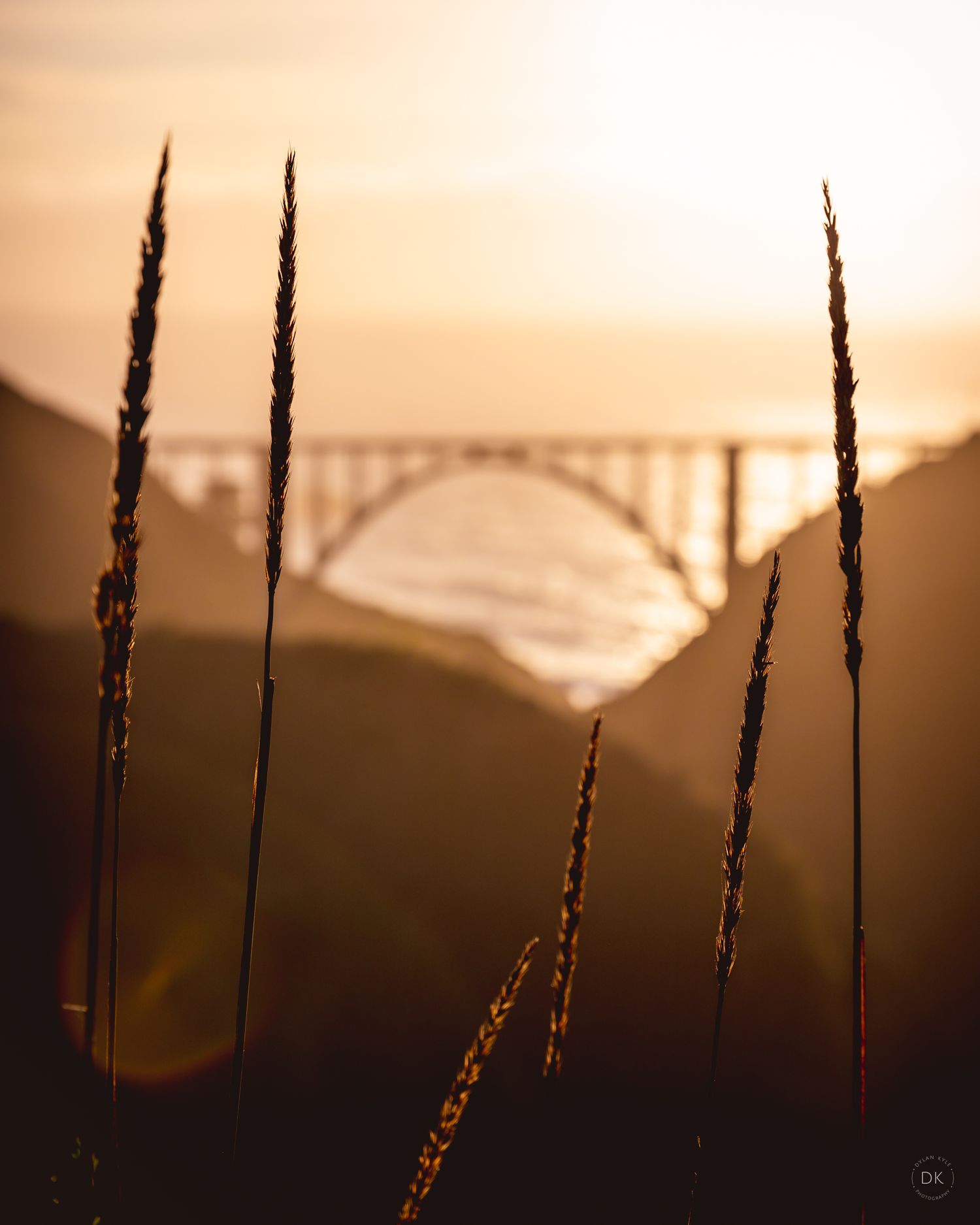 Tall grass silhouettes frame a distant bridge at sunset creating a moody atmospheric scene.