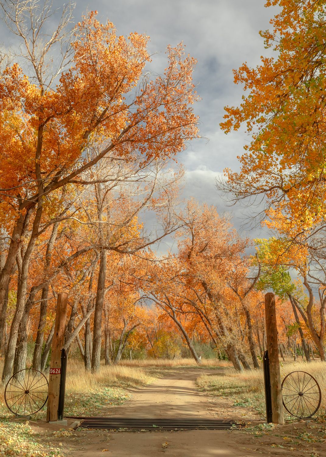 A scenic autumn path lined with orange-leaved trees and vintage wagon wheels marks the entrance.
