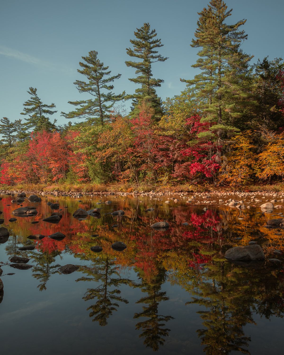 Fall foliage reflects perfectly in still lake water with evergreen trees lining the shore.
