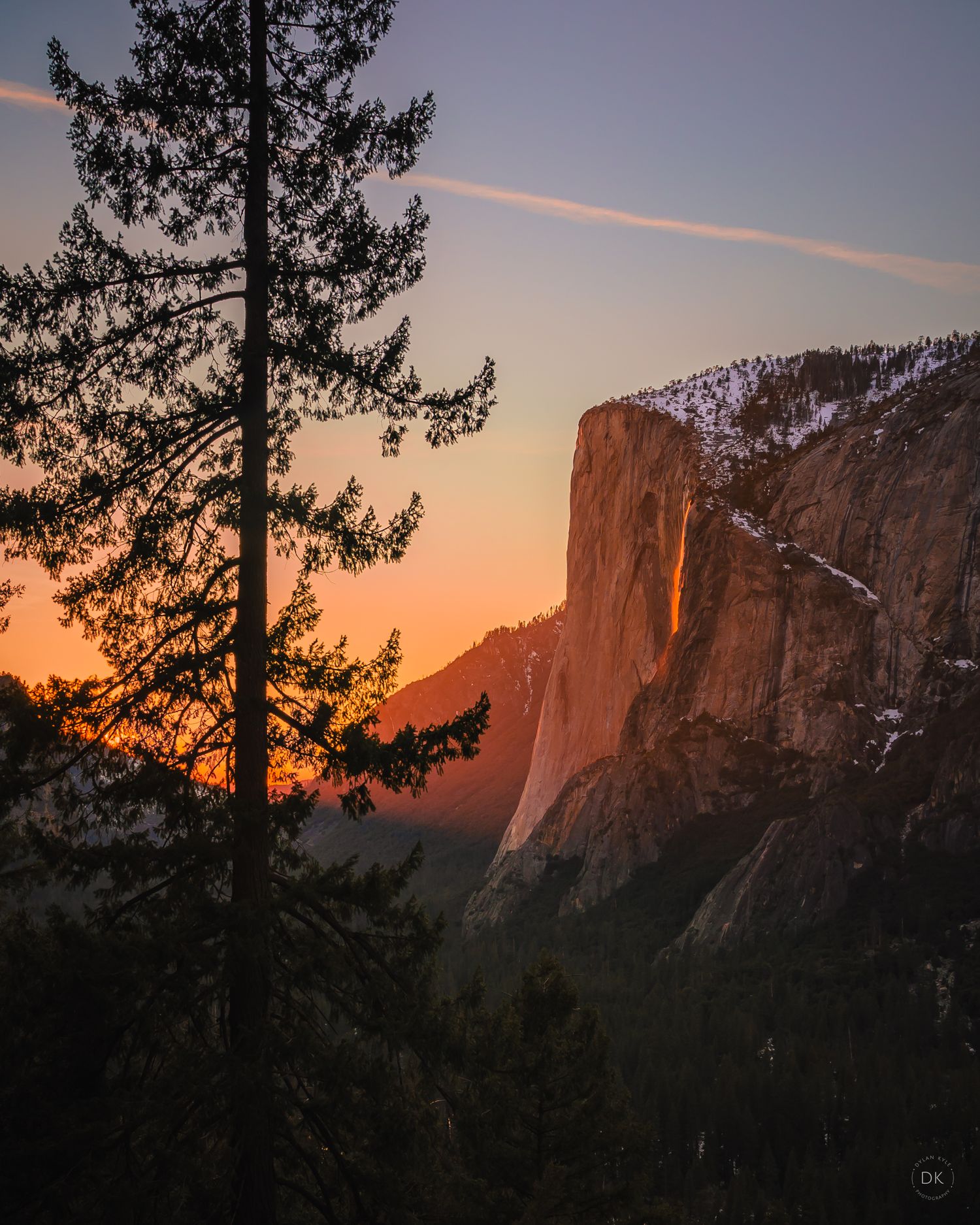 Sunlit El Capitan rock formation in Yosemite National Park at sunset with silhouetted pine trees in the foreground.