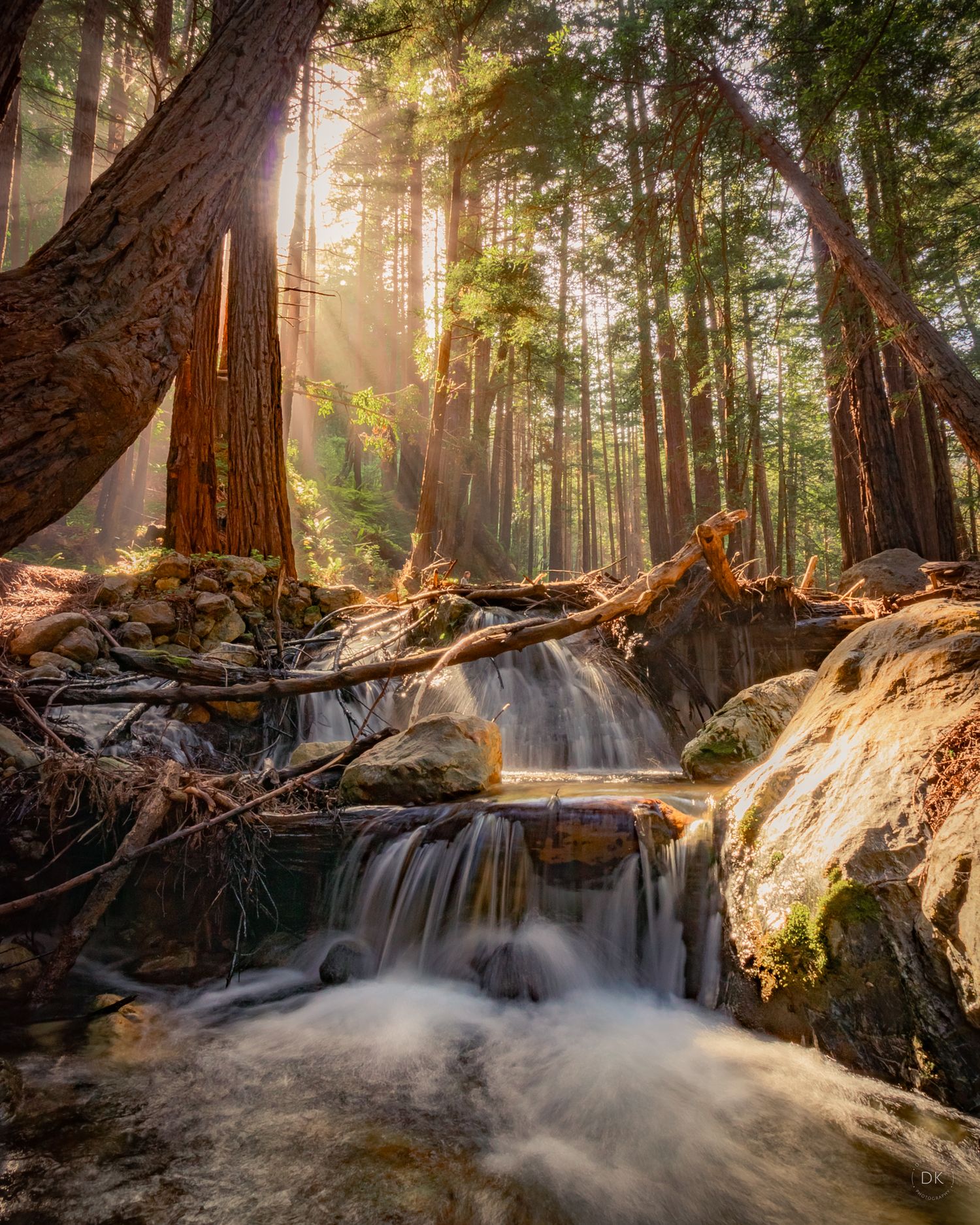 Golden sunlight streams through towering redwood trees as a cascading waterfall tumbles over mossy rocks in a misty forest.