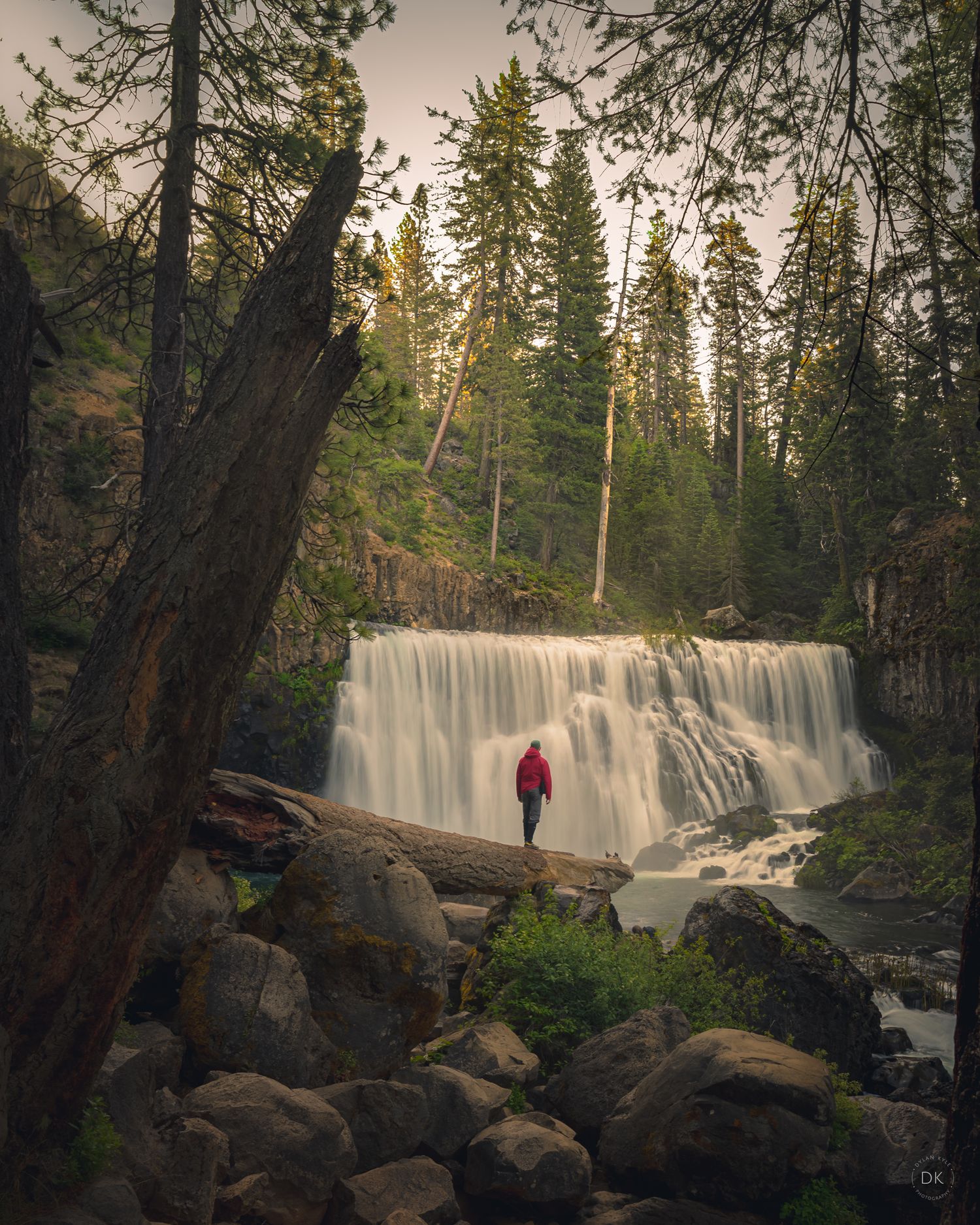 A figure stands on rocks beside a majestic forest waterfall at sunset, surrounded by towering evergreen trees.
