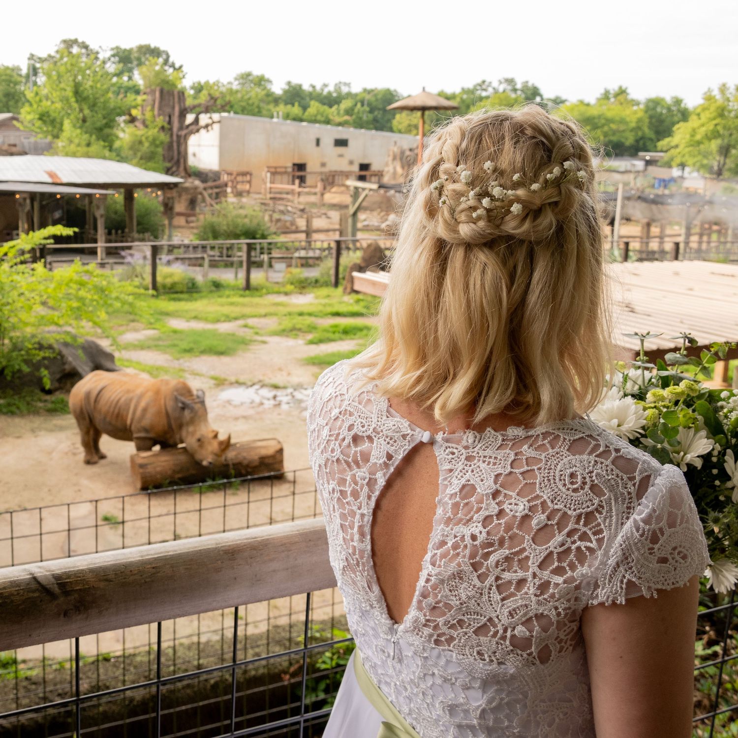 Woman in white lace dress with braided hair watches a rhinoceros at the zoo through a fence.