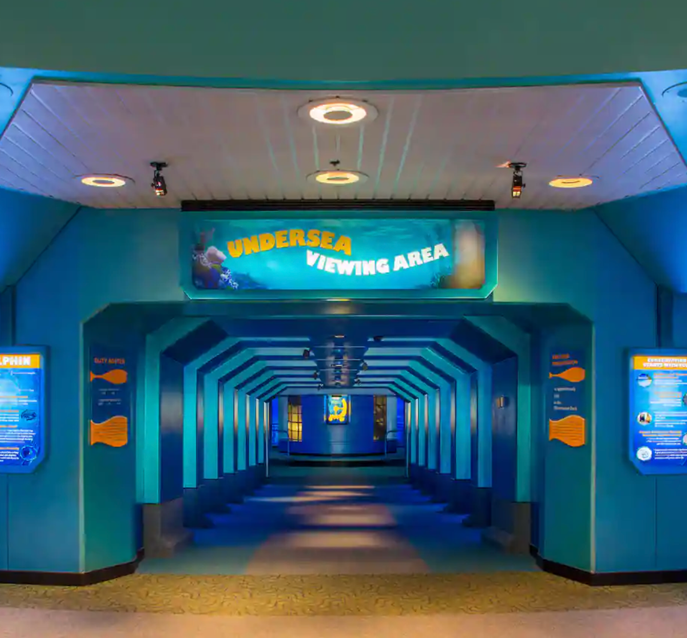 Blue-tinted walkway corridor with illuminated walls and ceiling leading to viewing area.