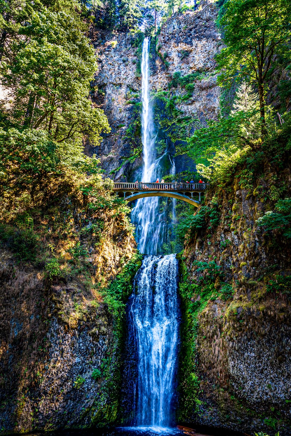 Multnomah Falls cascading waterfall with scenic footbridge surrounded by lush green cliffs.