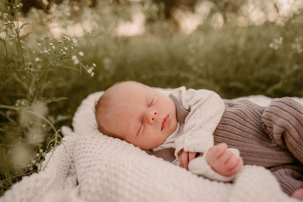 Peaceful newborn baby sleeping outdoors on white blanket surrounded by delicate wildflowers.