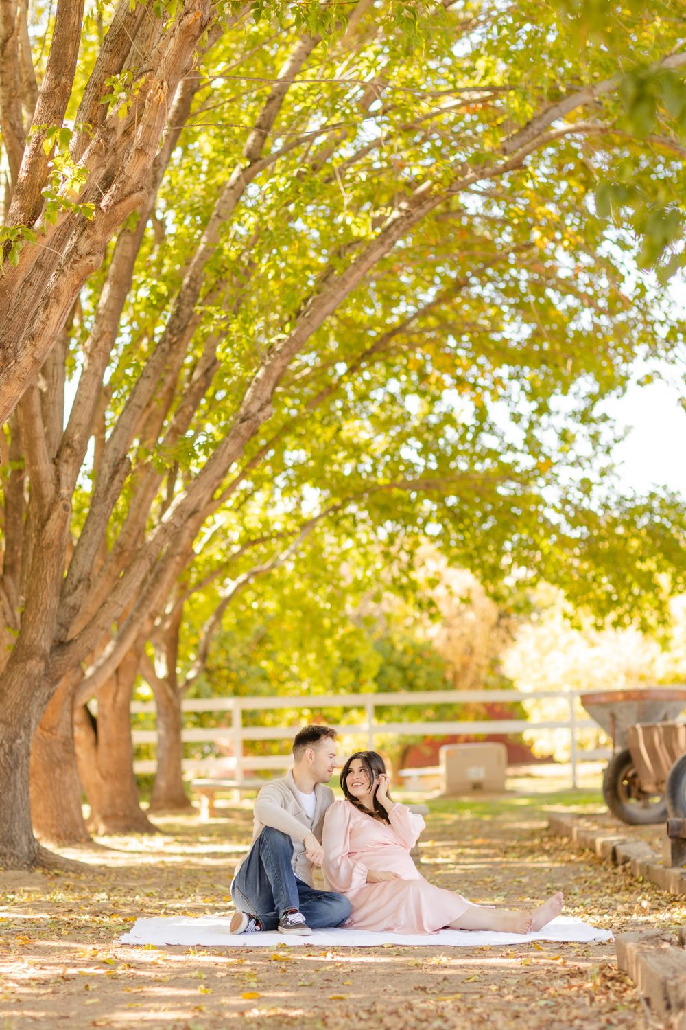 Maternity Session in Manistee Ranch Park in Glendale, Arizona by Jen Lynn Studios.