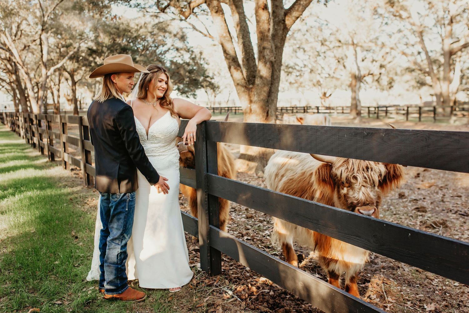 A couple pauses by a wooden fence to admire a longhorn cow in a pastoral setting.
