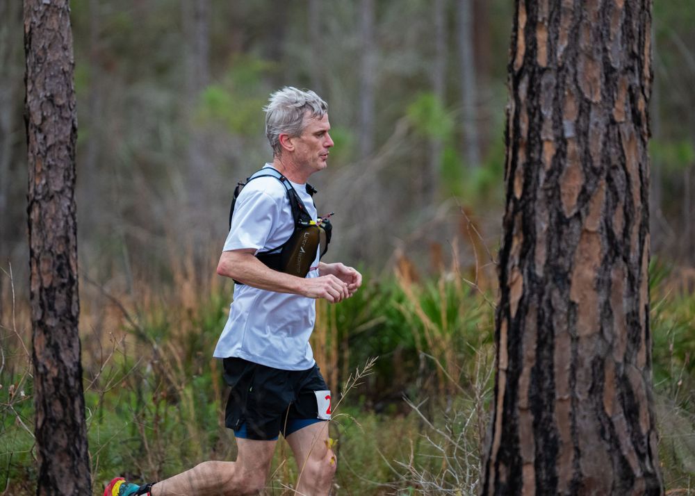 Runner navigating through tall pine trees on a wooded trail course.