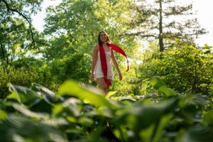 Sunlit garden path with lush green foliage and trees creating natural archway.
