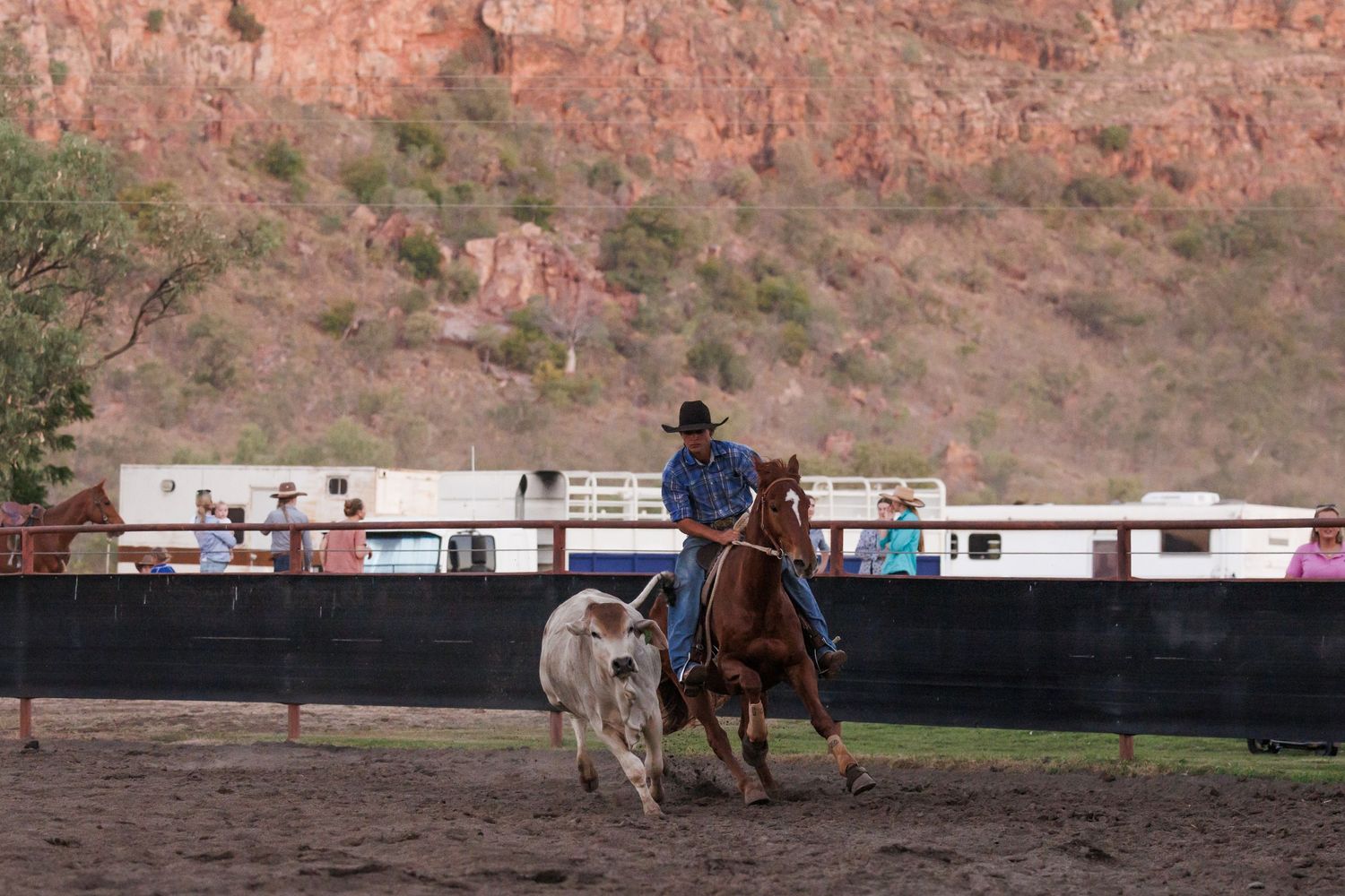 Rodeo rider chases a calf during a roping competition against red rock cliffs.