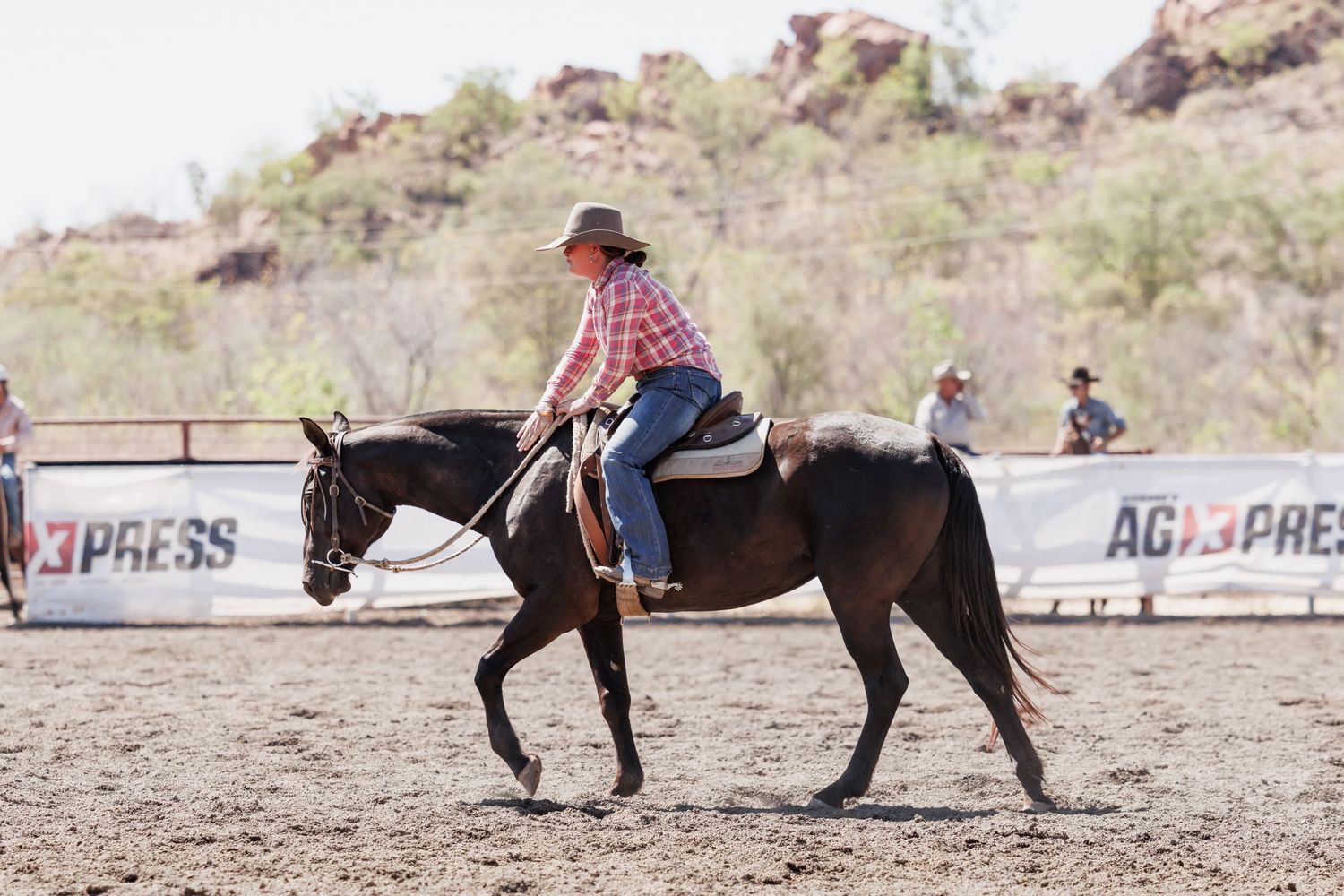 Horse and rider performing in a rodeo arena with mountains in the background.