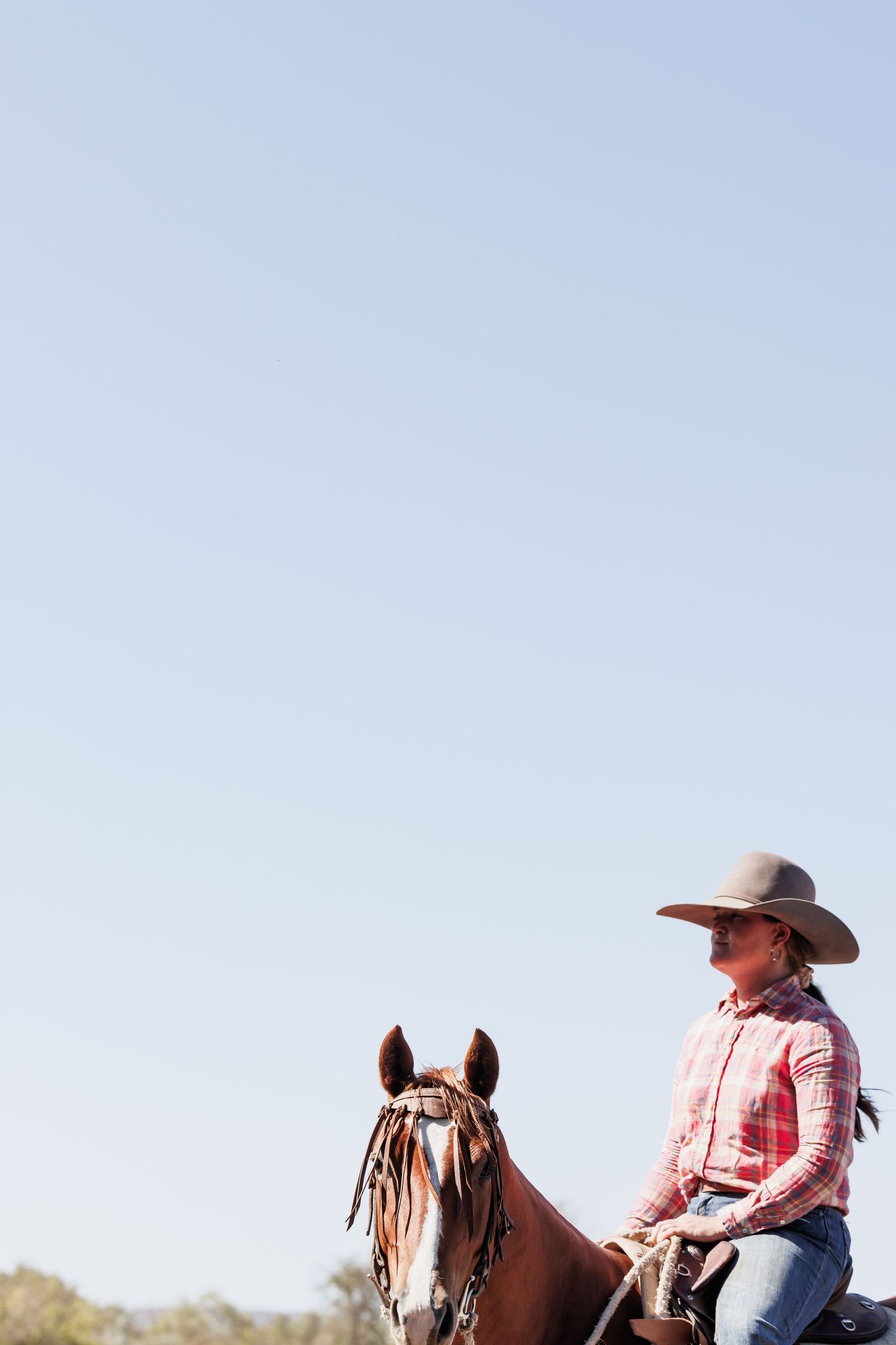 A rider in western attire sits atop a horse against a light blue sky background.