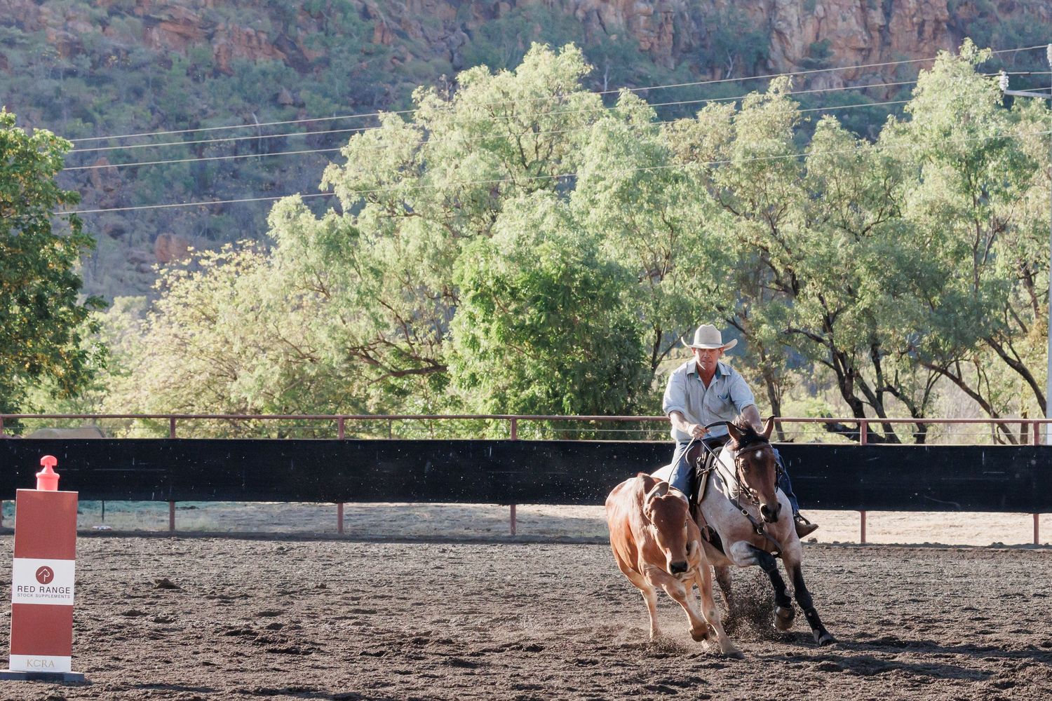 A horse and rider navigate around a barrel in an outdoor arena with mountains in background.