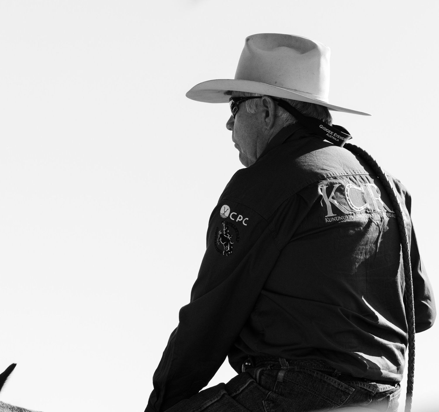 A silhouetted rider in western wear sits on horseback against bright background.