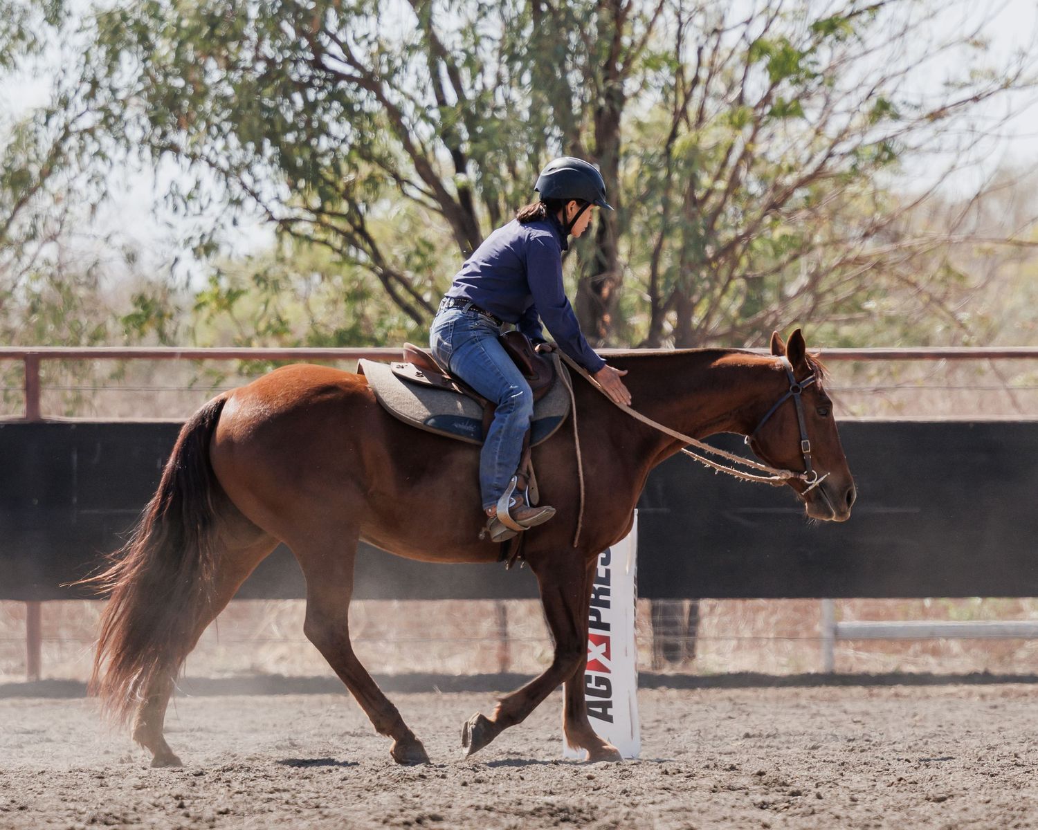 A rider practices horsemanship skills in a dirt arena with fencing.
