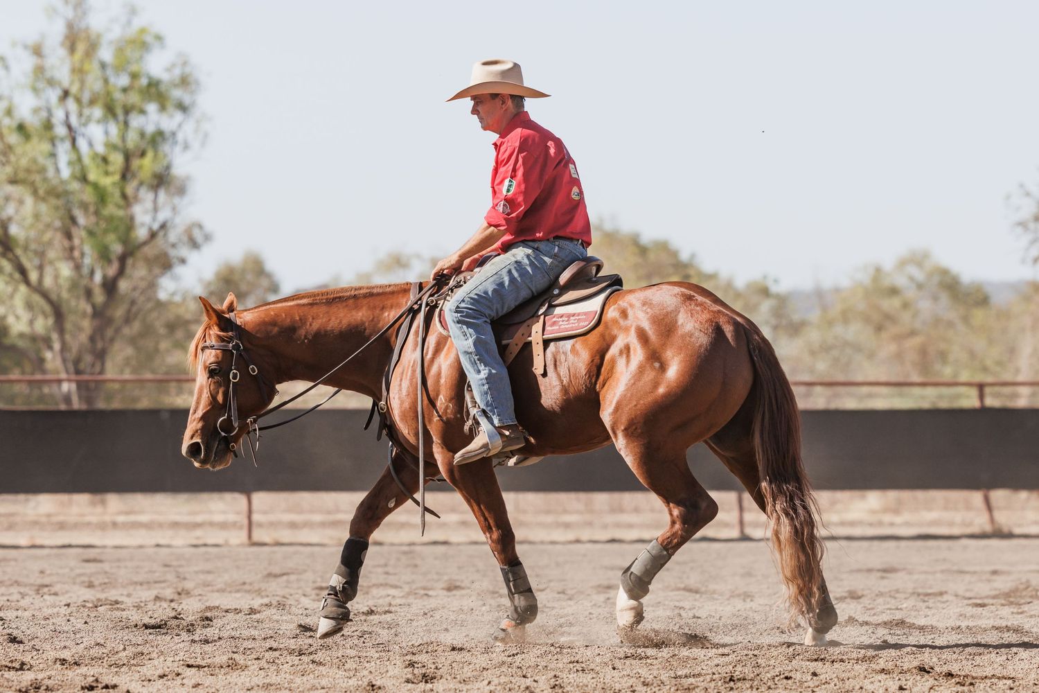 A rider in red demonstrates western horsemanship on a chestnut horse in an arena.