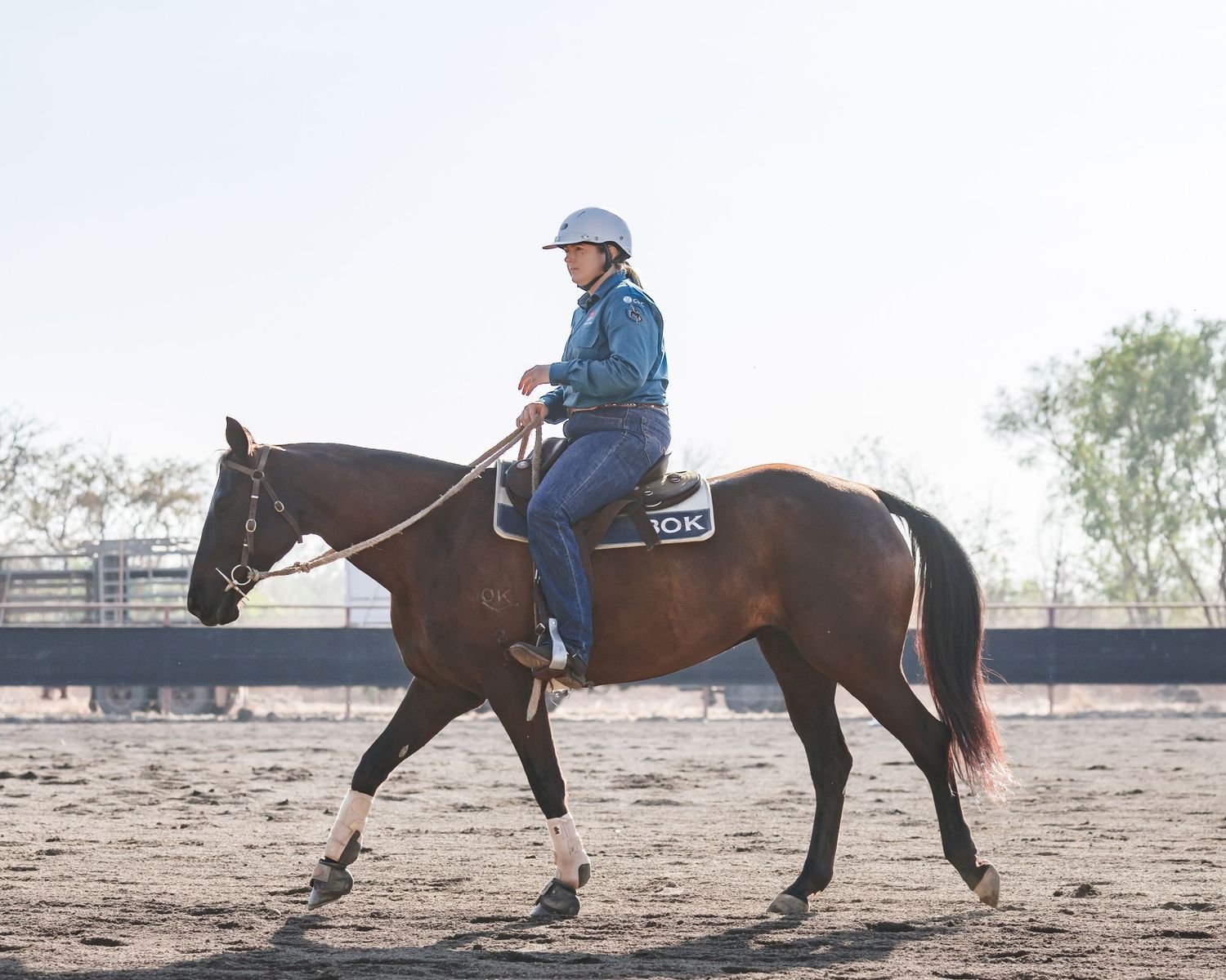 Rider demonstrates controlled horsemanship on dark horse in sandy arena.