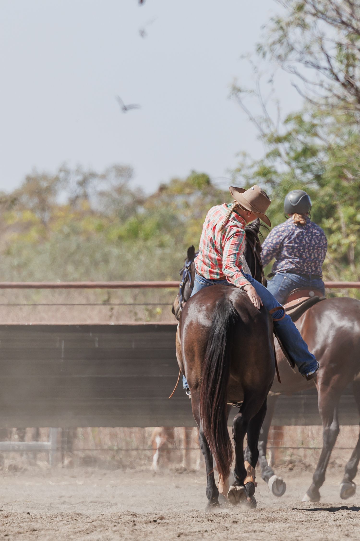 Two riders on horseback kick up dust in a western arena during a rodeo competition.