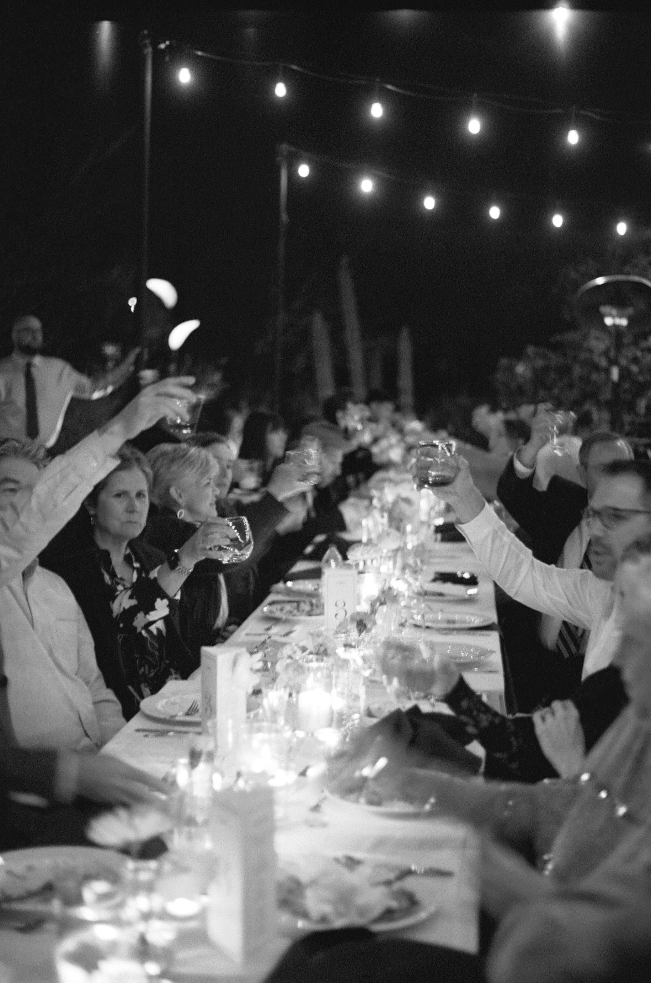 A candlelit dinner party under string lights with guests raising their glasses in a celebratory toast.